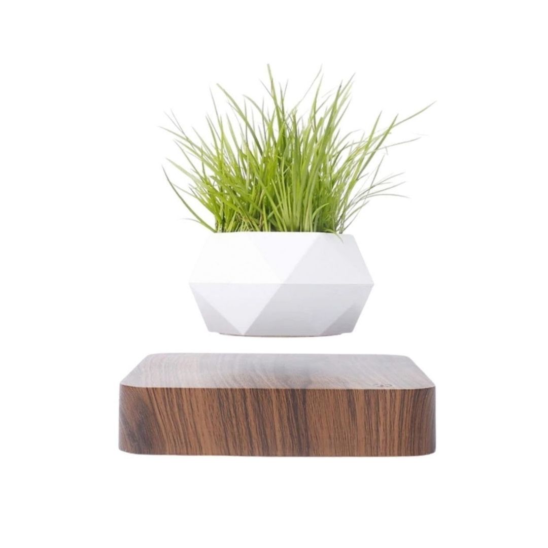 Floating Plant Pot
