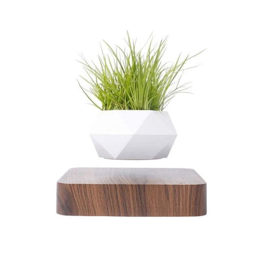 Floating Plant Pot