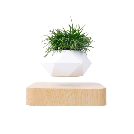 Floating Plant Pot