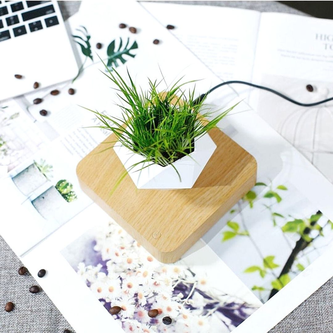 Floating Plant Pot