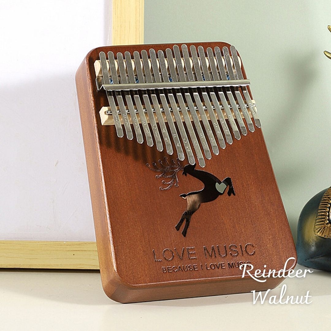 Kalimba Thumb Piano with Starter Kit and Gift Box