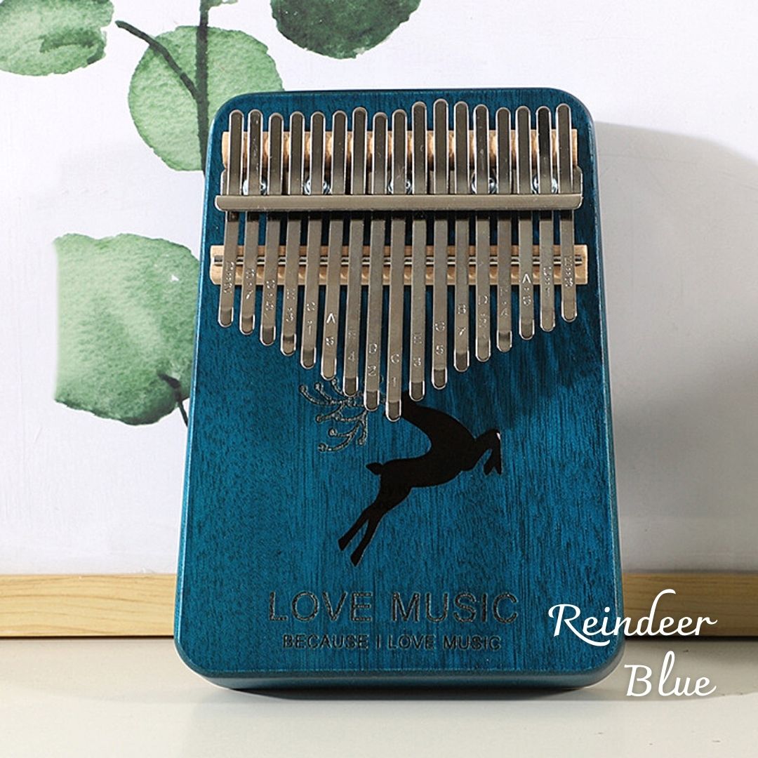 Kalimba Thumb Piano with Starter Kit and Gift Box