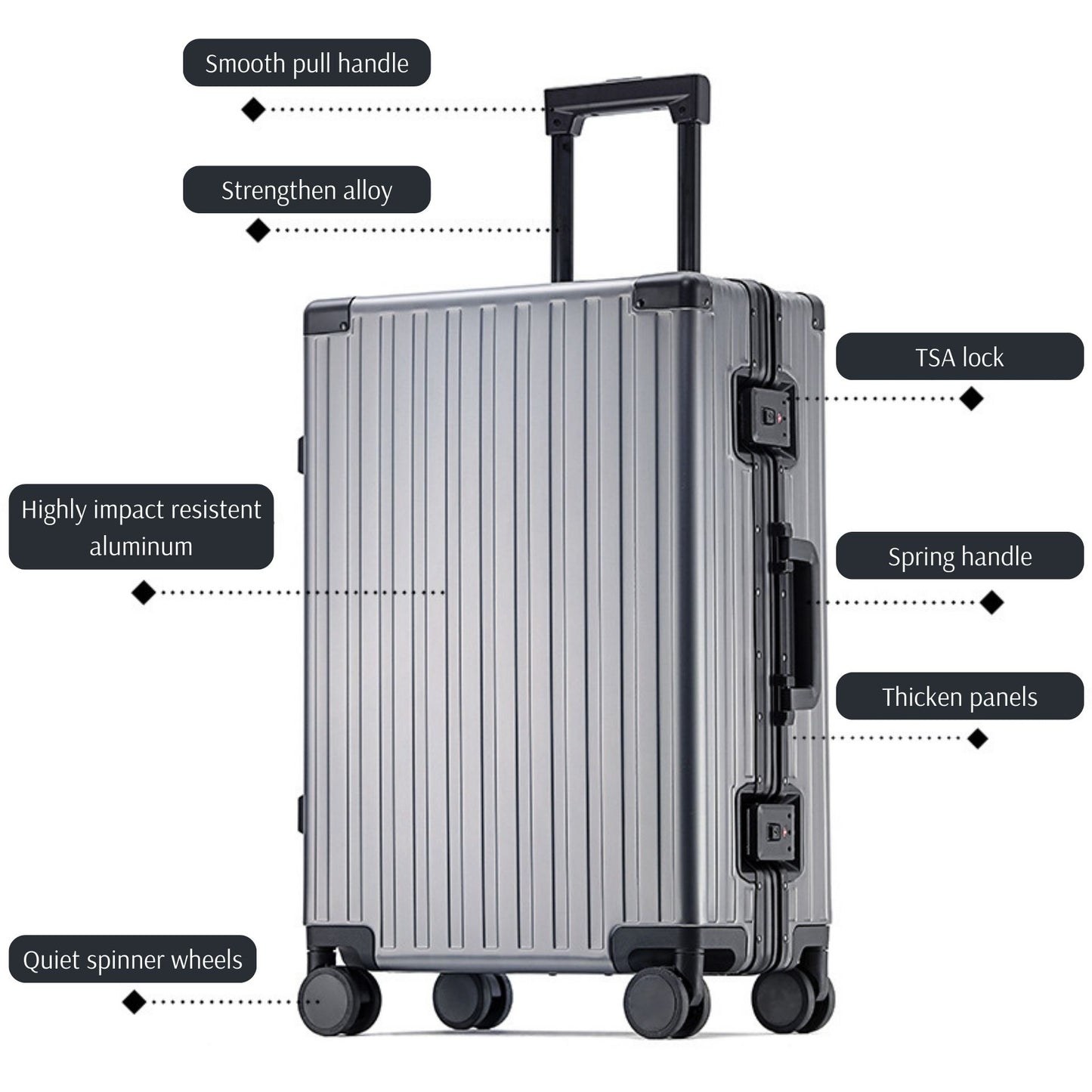 Aluminum Carry-On and Checked Luggage 20/24 Inch SKU 85008