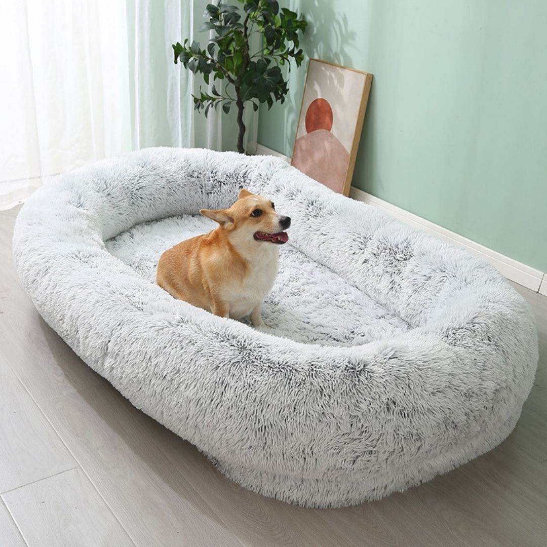 Extra Large Human Sized Dog Bed for Adult Washable SKU 68002