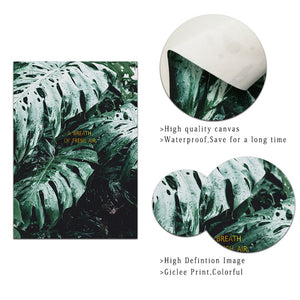 Trunk and Leaf Art Print on Canvas
